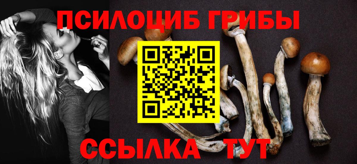 наркота  Галлюциногенные грибы Psilocybe  Вход с VPN  Великие Луки 