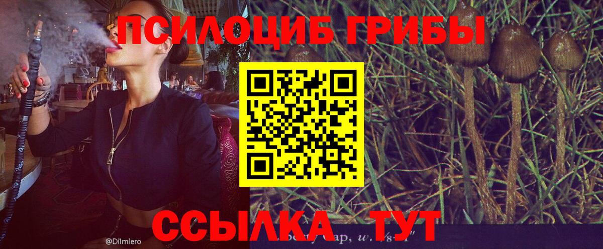 Галлюциногенные грибы ЛСД Великие Луки